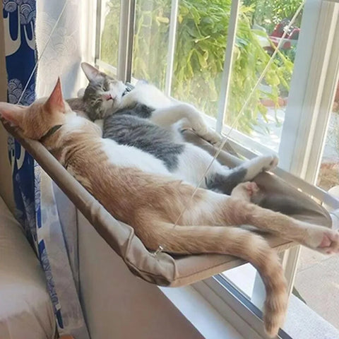 Hängendes Katzenbett - Gemütliches Katzenhäuschen für Sonnenbad und Entspannung bis 20kg - Fensterplatz und Klettergerüst Accessoire