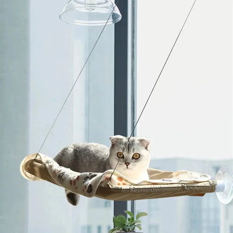 Hängendes Katzenbett - Gemütliches Katzenhäuschen für Sonnenbad und Entspannung bis 20kg - Fensterplatz und Klettergerüst Accessoire