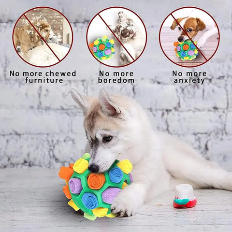 Interaktiver Sniffing Ball für Hunde: Tragbare Snuffle Ball für die Sinnesschulung und das Suchverhalten von Haustieren