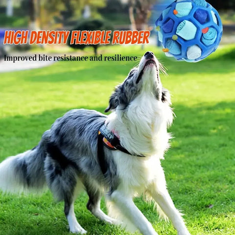 Interaktiver Sniffing Ball für Hunde: Tragbare Snuffle Ball für die Sinnesschulung und das Suchverhalten von Haustieren